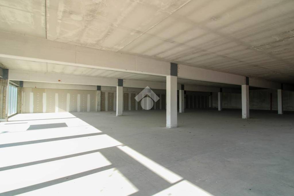 immagine annuncio 3 di 8