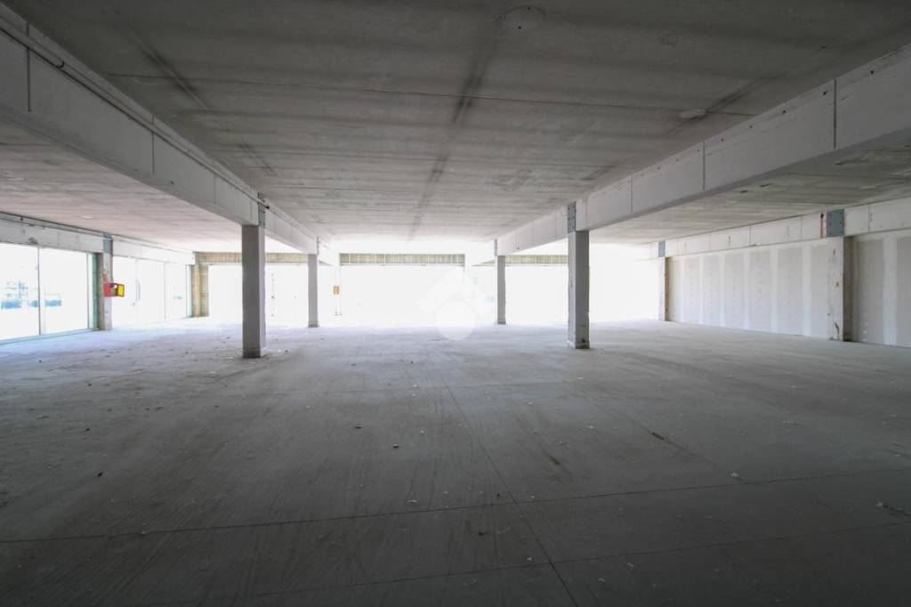 immagine annuncio 4 di 8