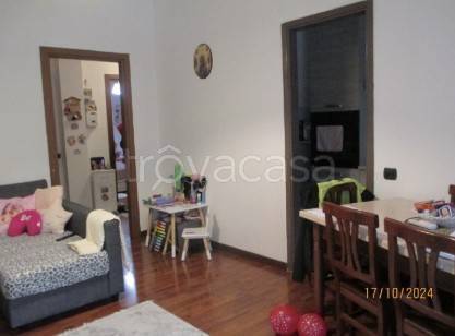 immagine annuncio 6 di 14