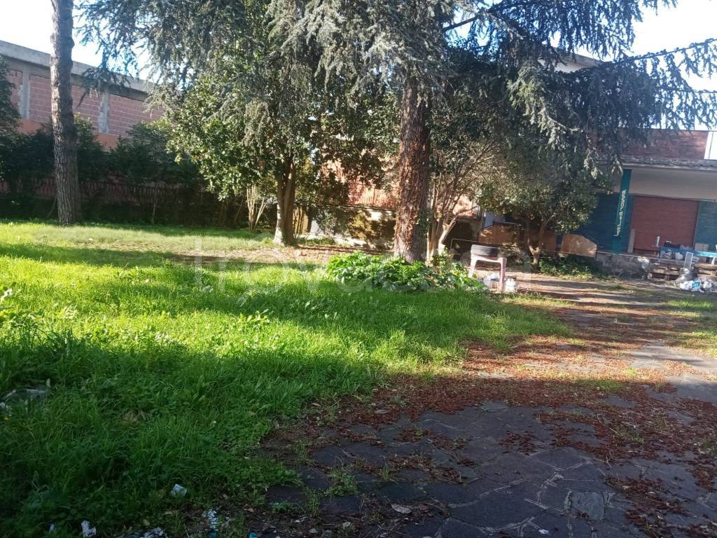 immagine annuncio 2 di 8