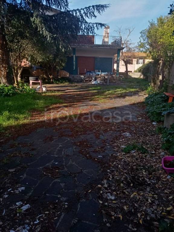 immagine annuncio 4 di 8