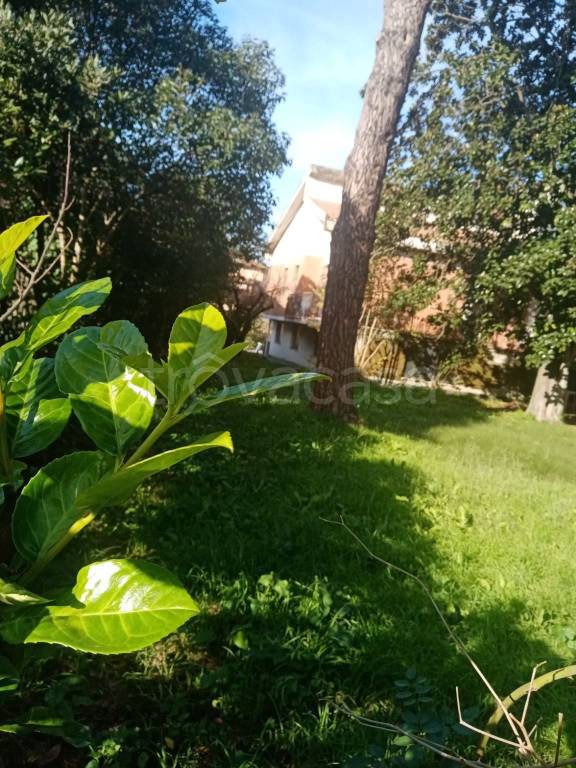 immagine annuncio 6 di 8