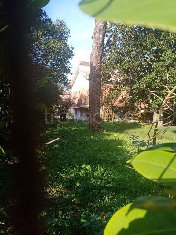 immagine annuncio 7 di 8