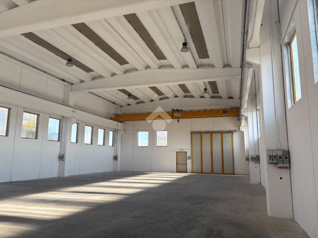 immagine annuncio 4 di 13