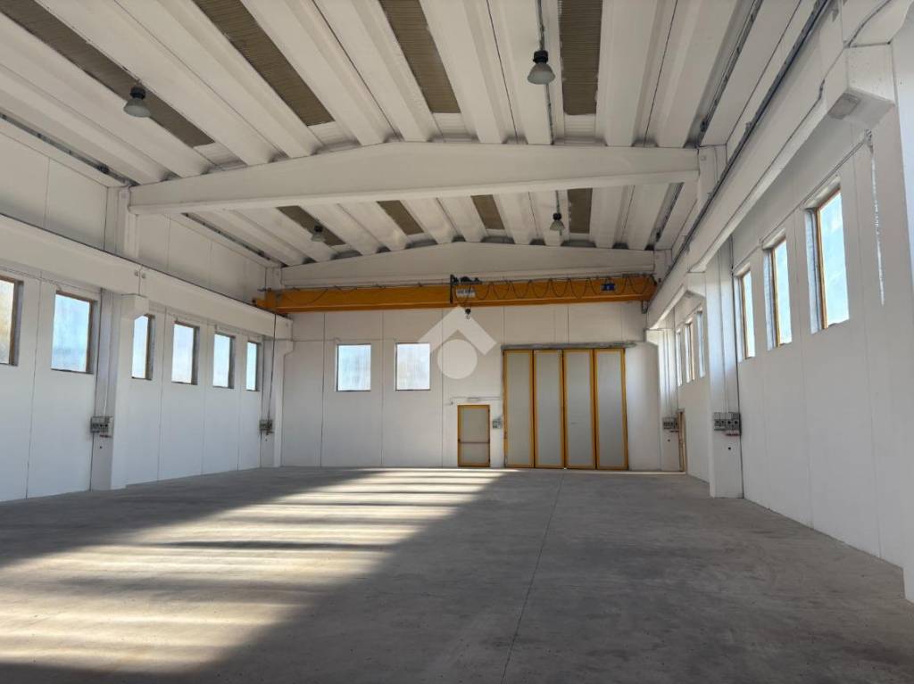 immagine annuncio 6 di 13