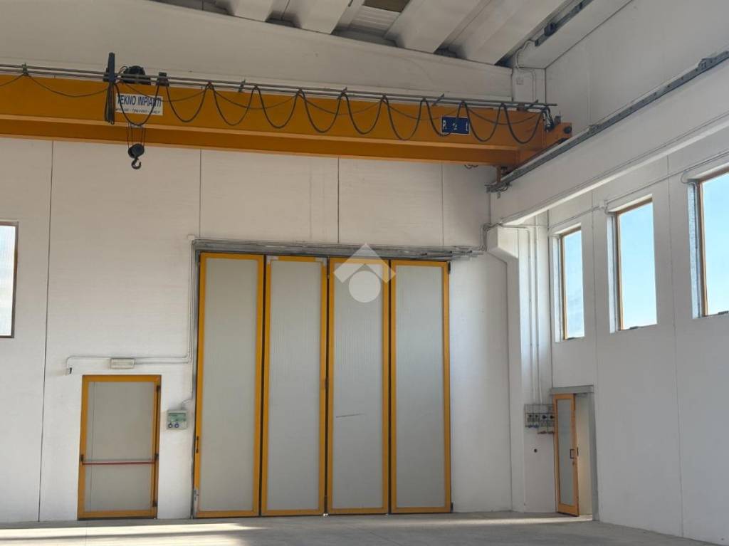 immagine annuncio 7 di 13