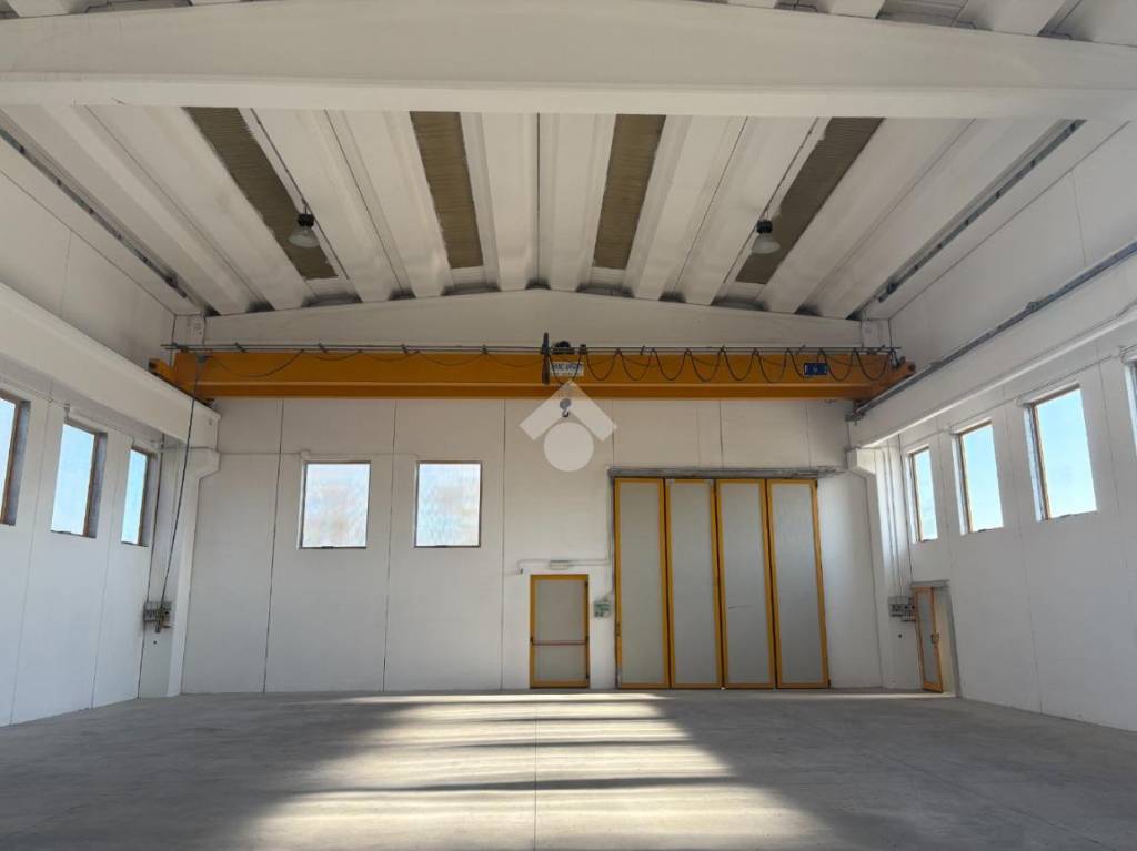 immagine annuncio 12 di 13