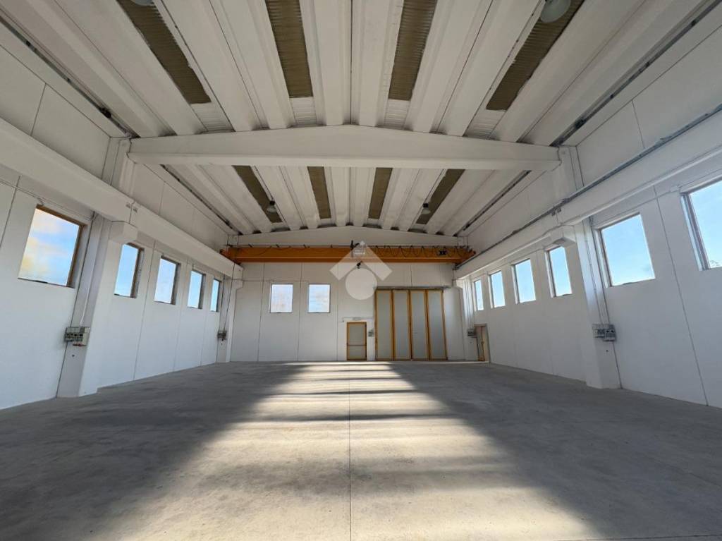 immagine annuncio 10 di 13