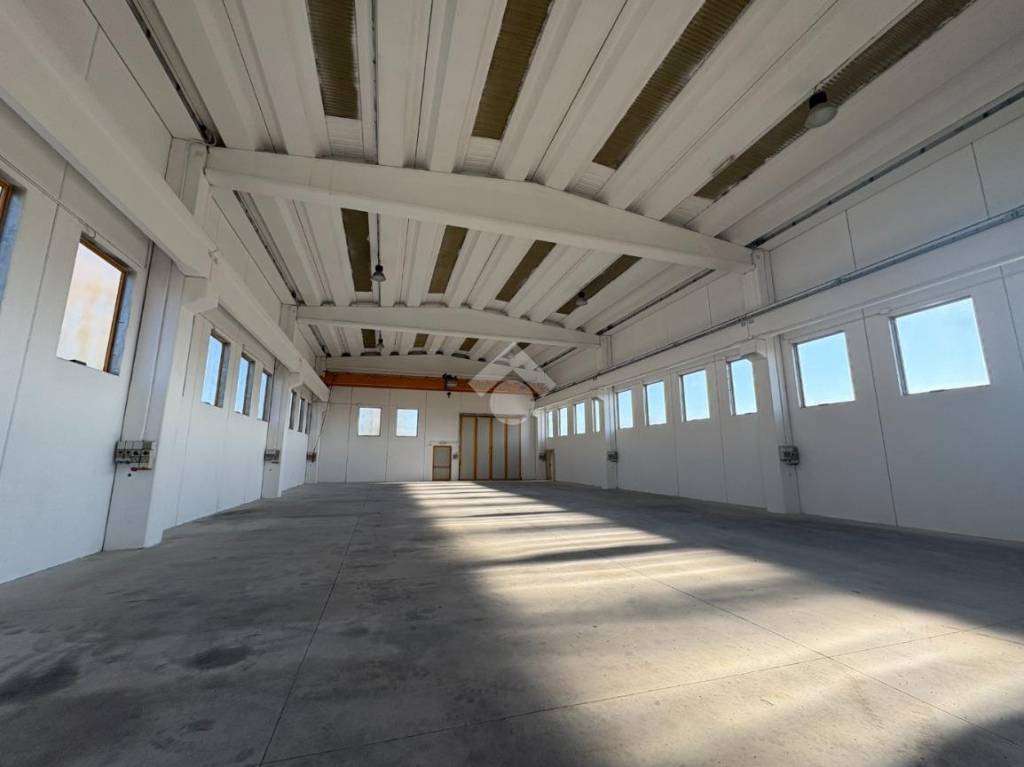 immagine annuncio 11 di 13