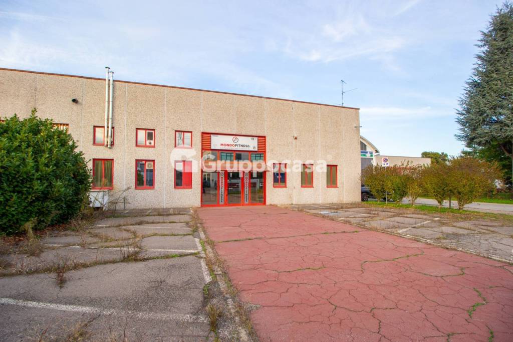 immagine annuncio 1 di 15