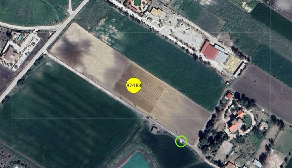 immagine annuncio 9 di 10