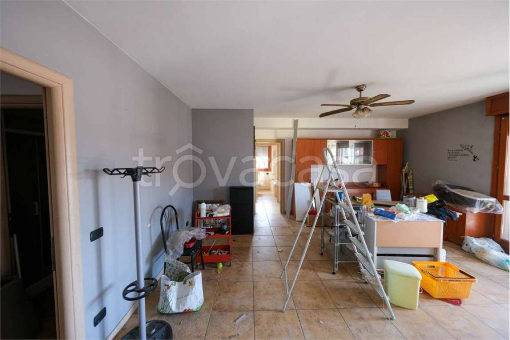 immagine annuncio 9 di 14