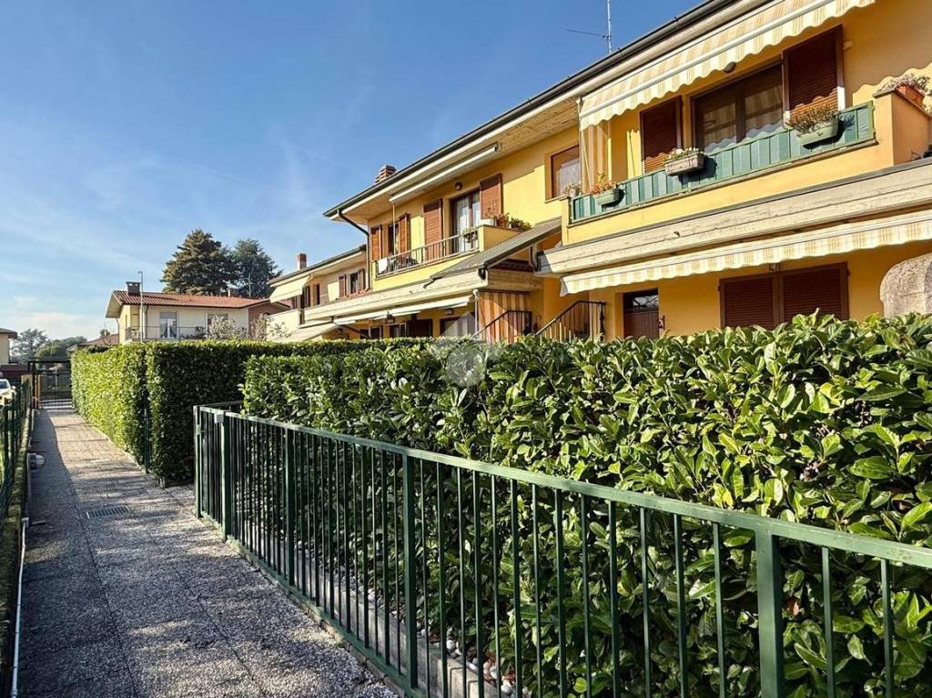 immagine annuncio 11 di 15