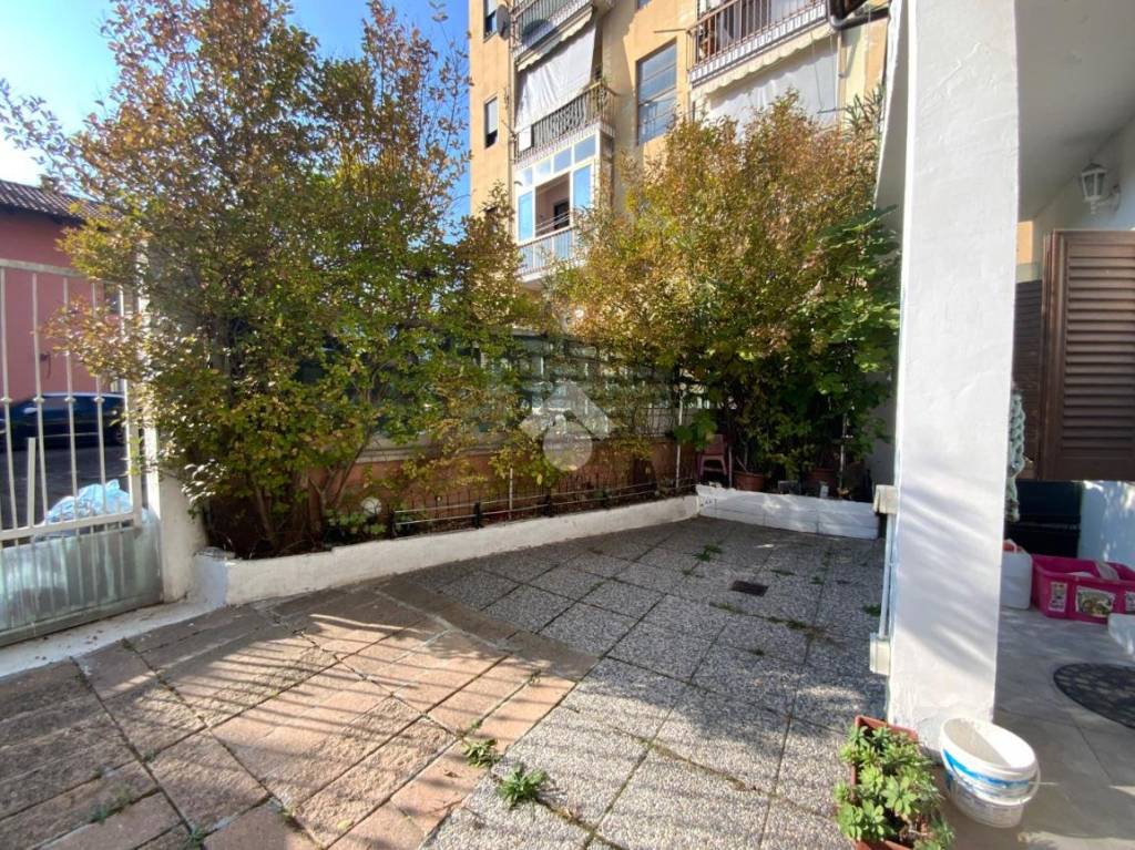 immagine annuncio 4 di 12