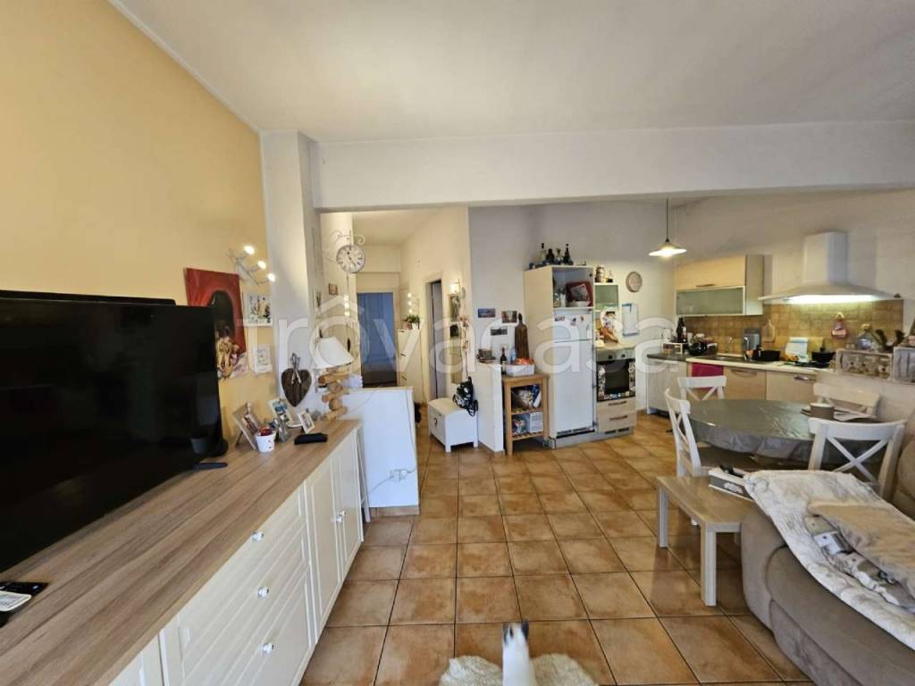 immagine annuncio 3 di 11