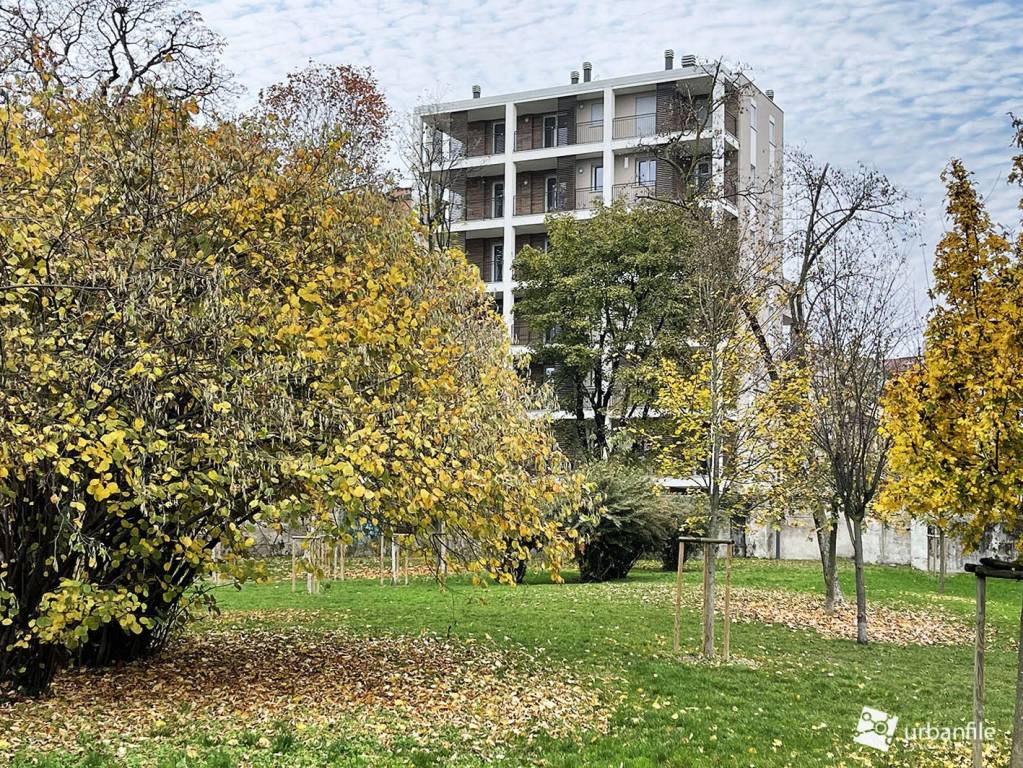 immagine annuncio 2 di 11