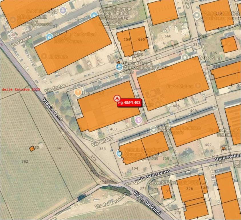 immagine annuncio 1 di 12