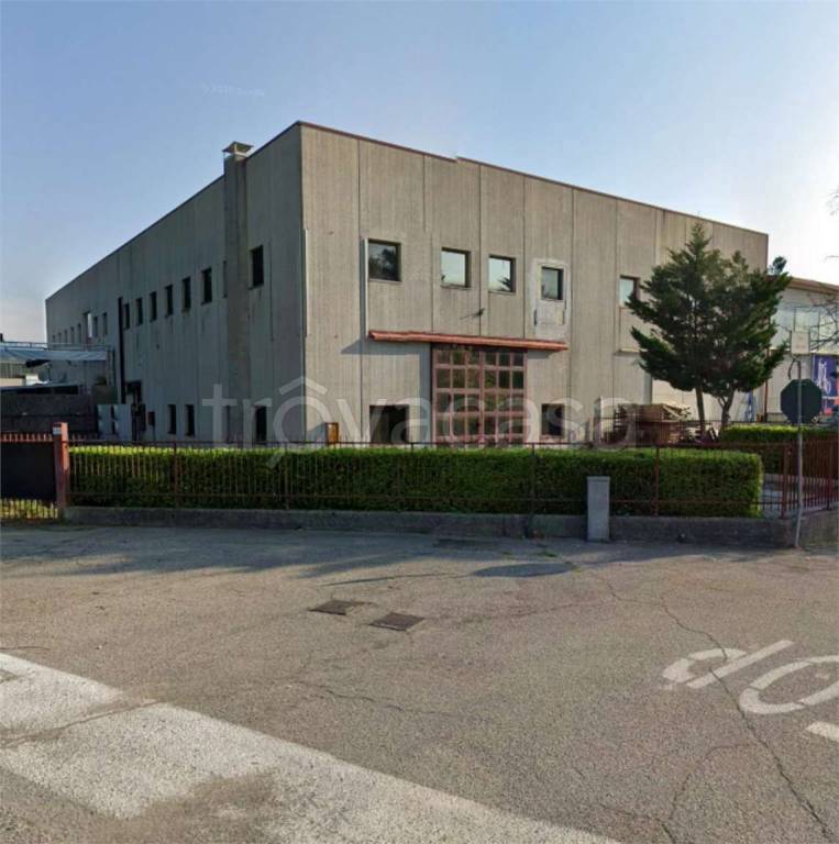 immagine annuncio 5 di 12