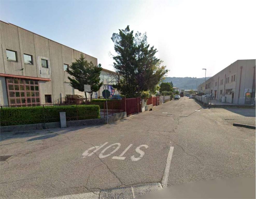 immagine annuncio 6 di 12