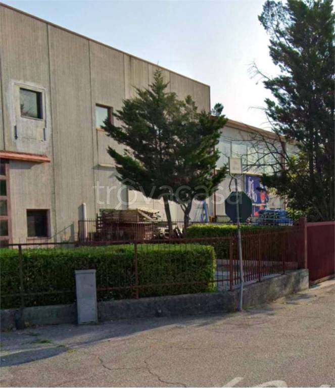 immagine annuncio 11 di 12