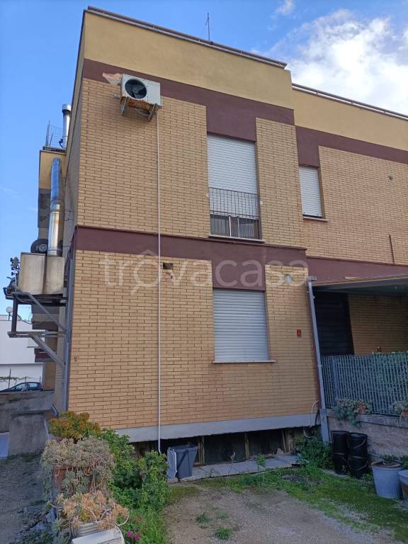 immagine annuncio 12 di 14