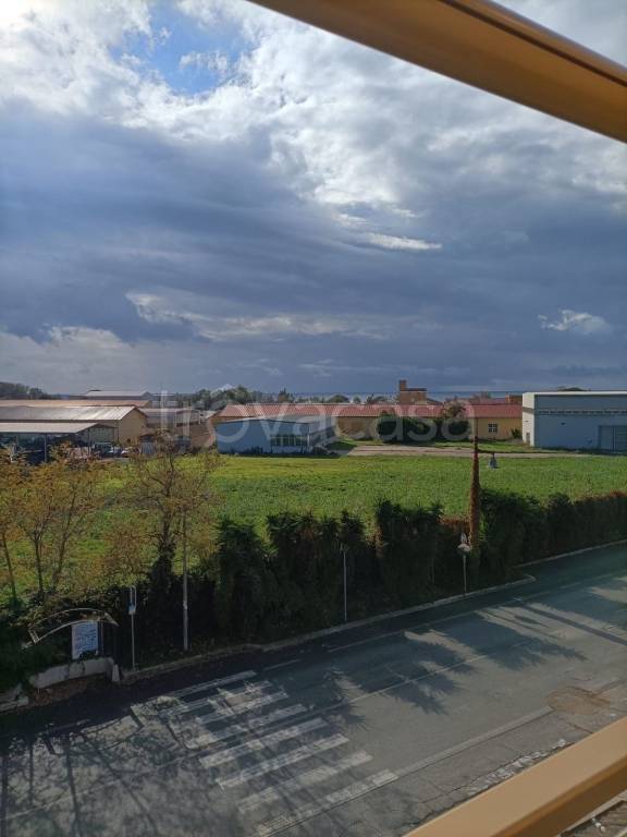 immagine annuncio 13 di 14