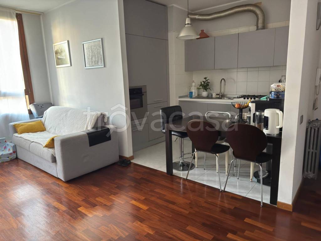 immagine annuncio 8 di 15