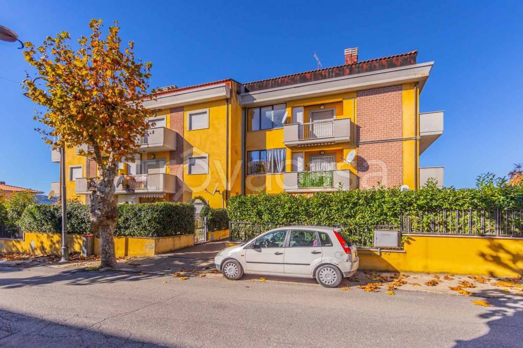 immagine annuncio 13 di 15