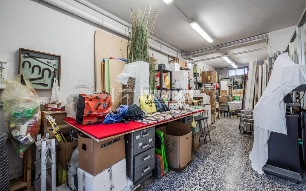 immagine annuncio 9 di 15