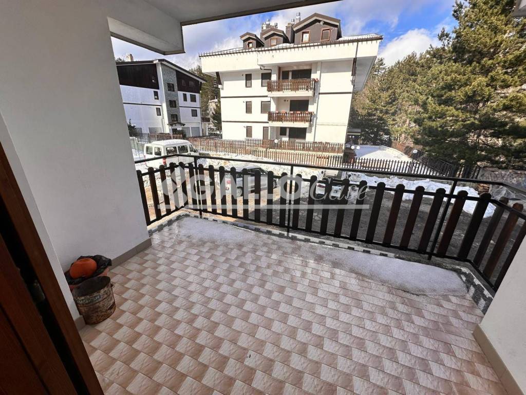 immagine annuncio 2 di 12