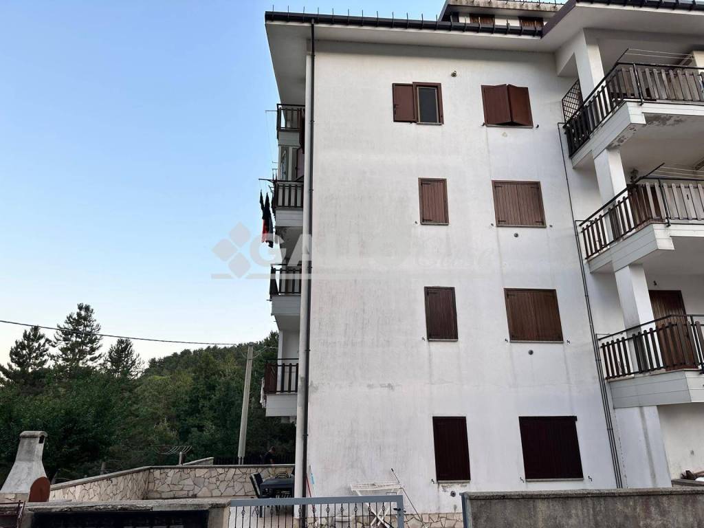 immagine annuncio 11 di 12