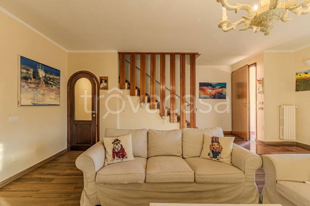 immagine annuncio 7 di 15