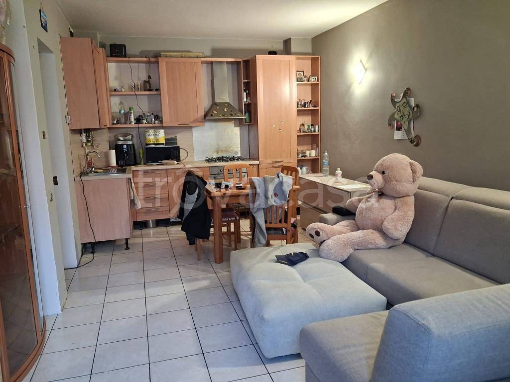 immagine annuncio 2 di 12