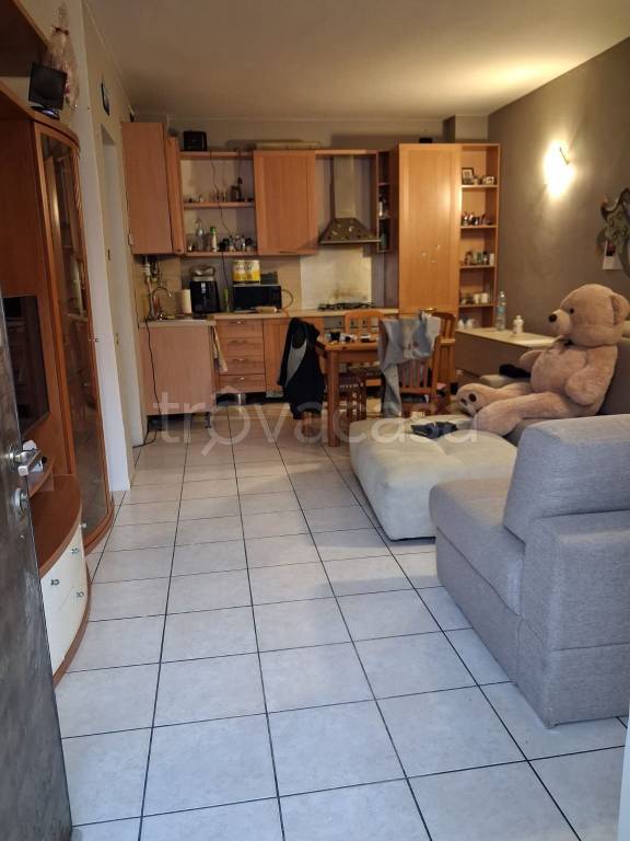 immagine annuncio 9 di 12