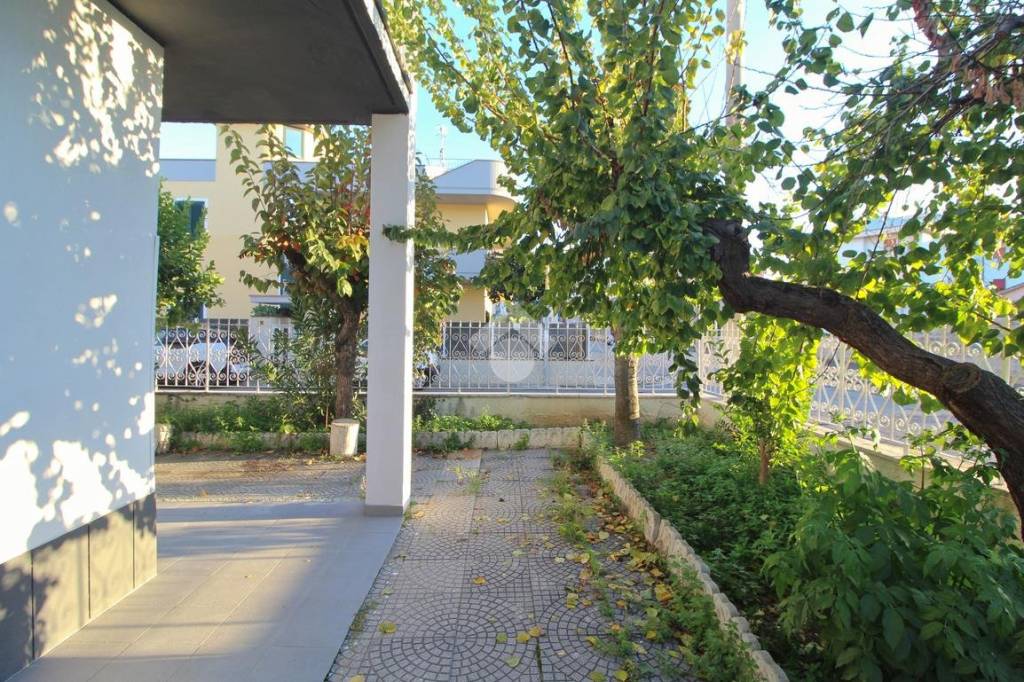 immagine annuncio 10 di 14