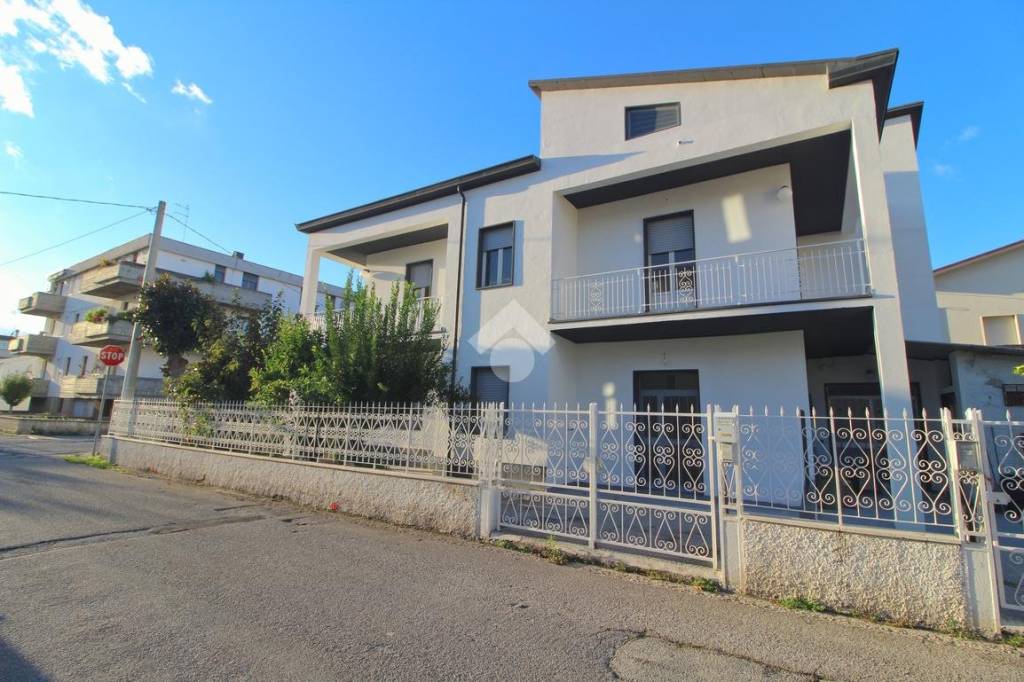 immagine annuncio 12 di 14