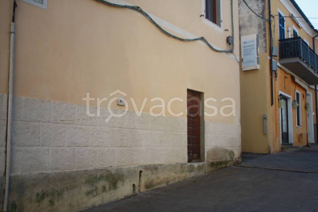 immagine annuncio 1 di 13