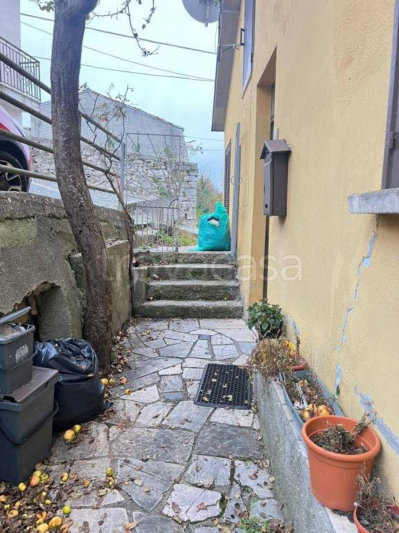 immagine annuncio 6 di 8