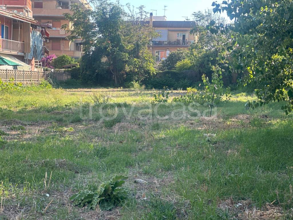 immagine annuncio 2 di 6