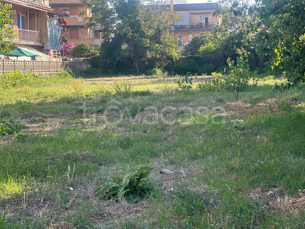 immagine annuncio 3 di 6