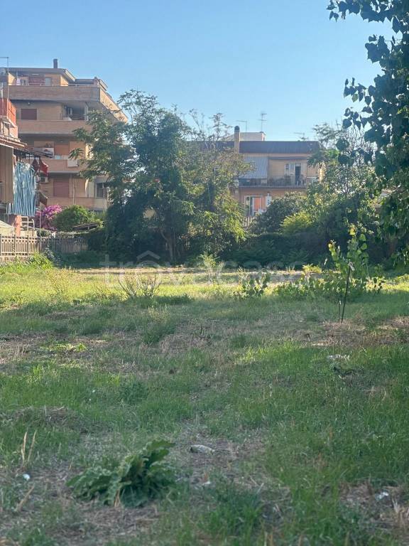 immagine annuncio 4 di 6