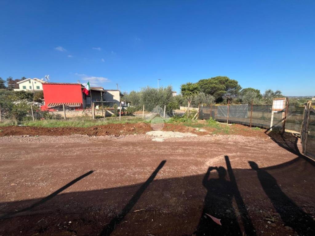 immagine annuncio 1 di 9