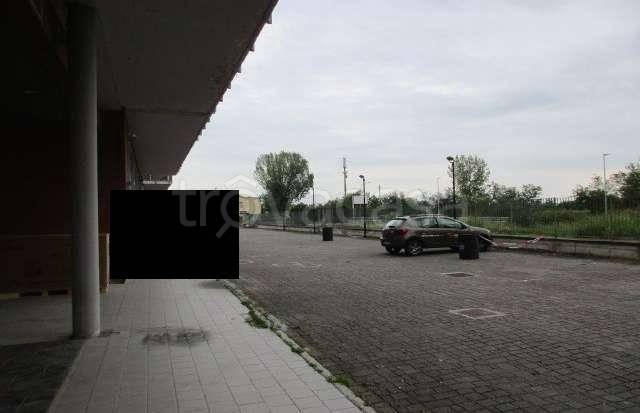 immagine annuncio 5 di 12