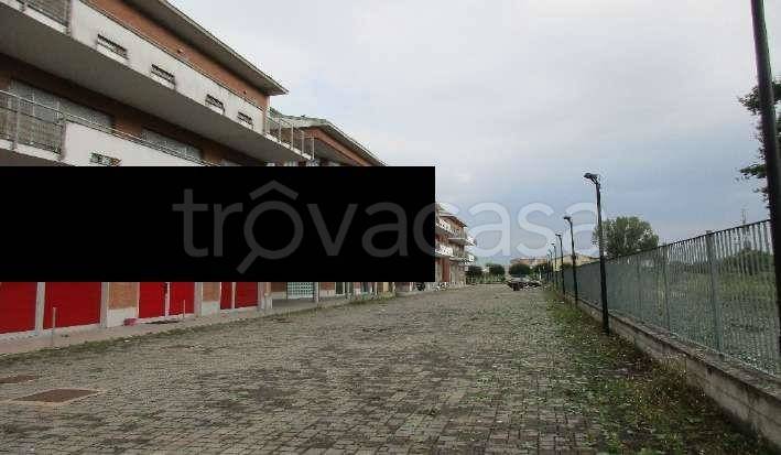 immagine annuncio 10 di 12