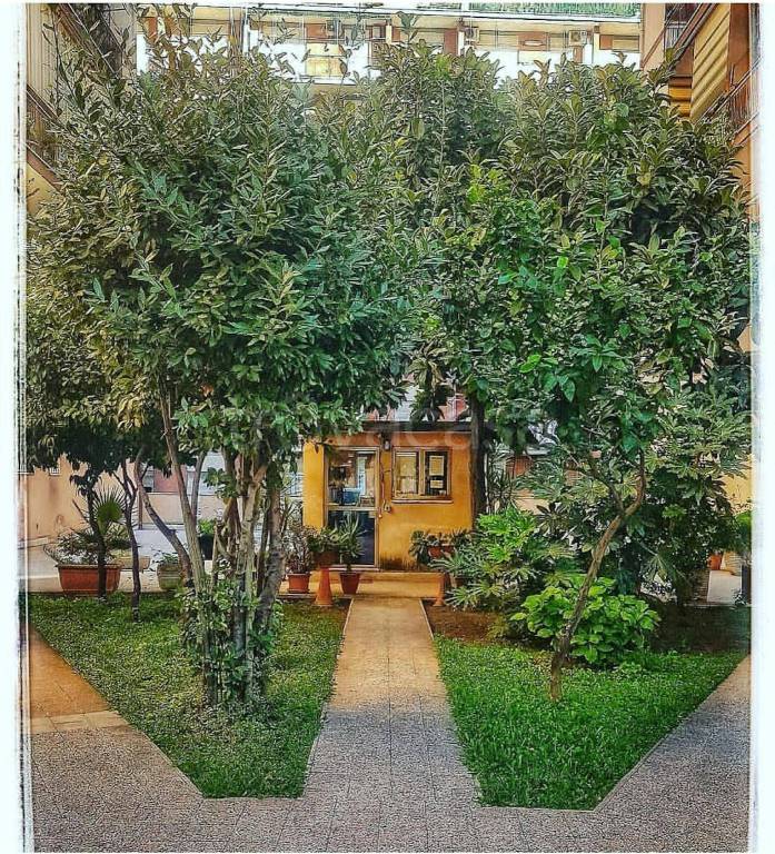 immagine annuncio 8 di 9