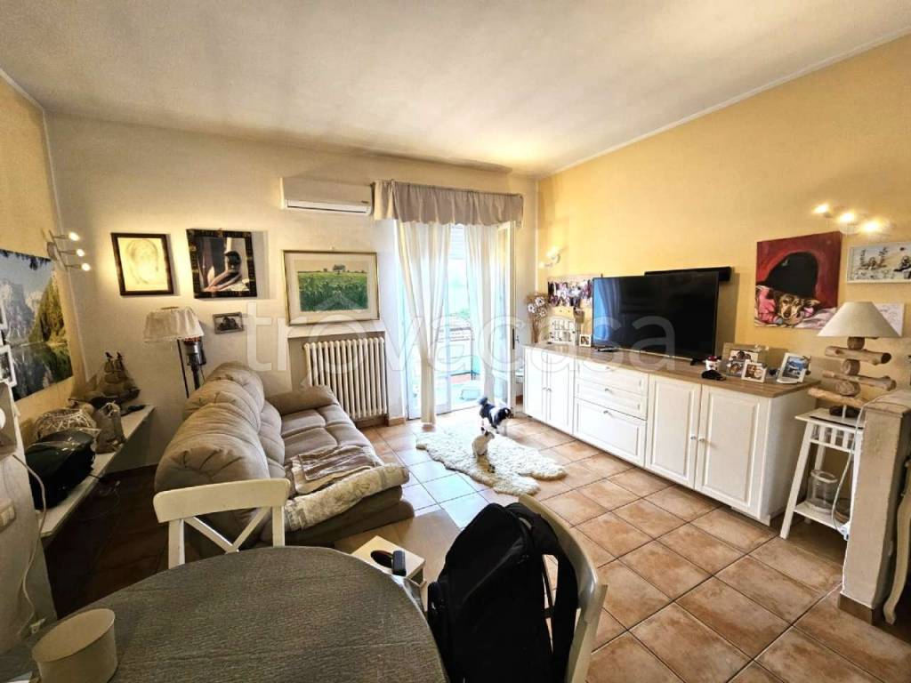 immagine annuncio 9 di 11