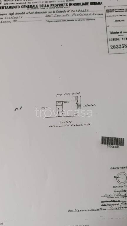 immagine annuncio 5 di 11