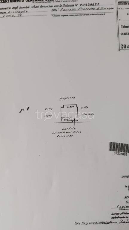 immagine annuncio 6 di 11