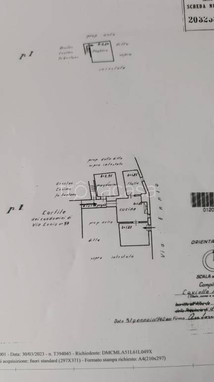 immagine annuncio 7 di 11