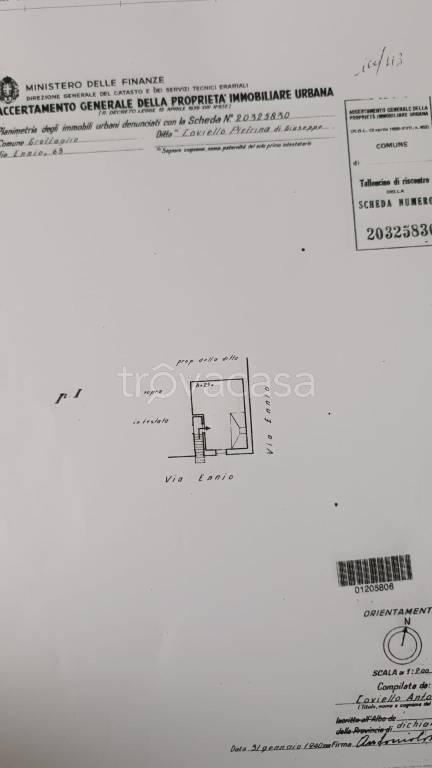 immagine annuncio 10 di 11